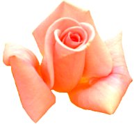 about